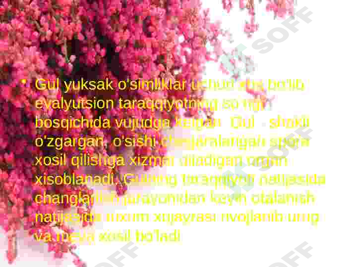Preview 5