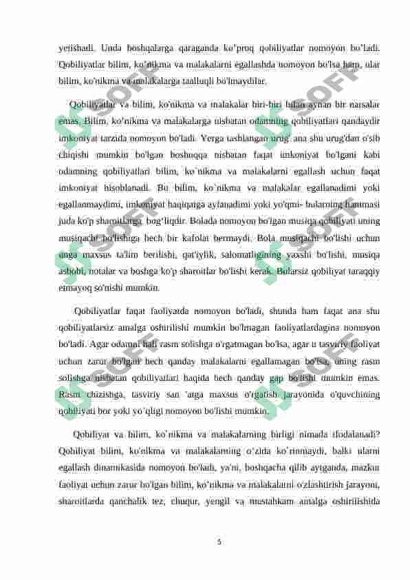 Preview 5