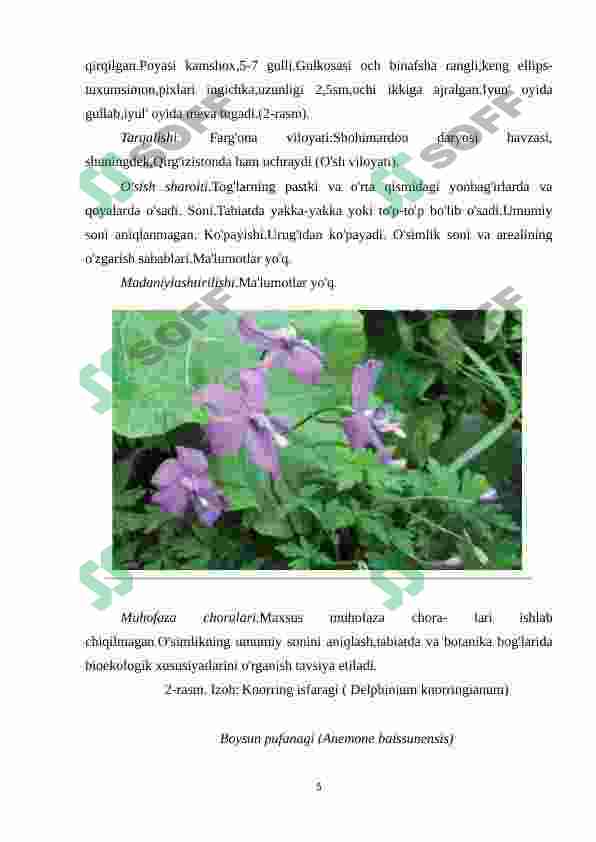 Preview 5