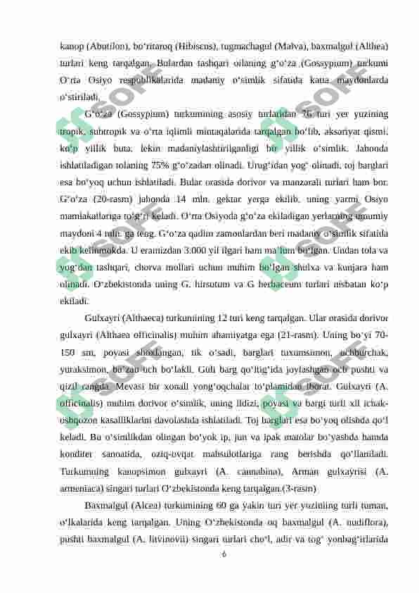 Preview 6