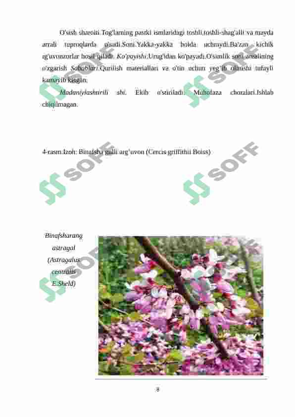 Preview 8
