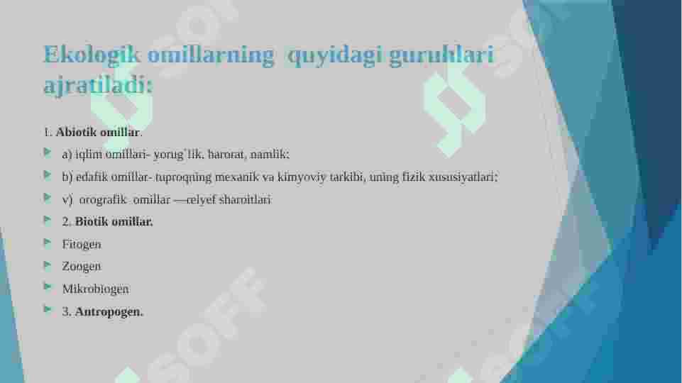 Preview 5