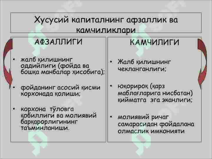 Preview 7