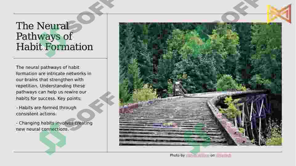 Preview 7
