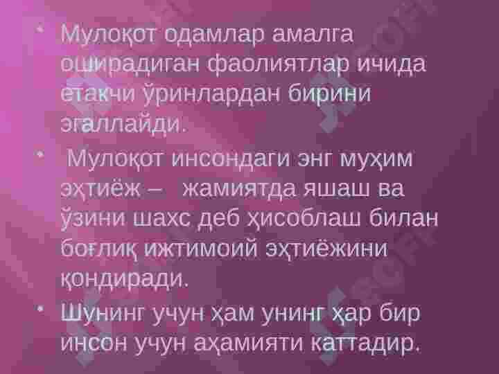 Preview 5