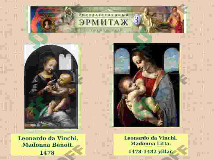 Preview 7