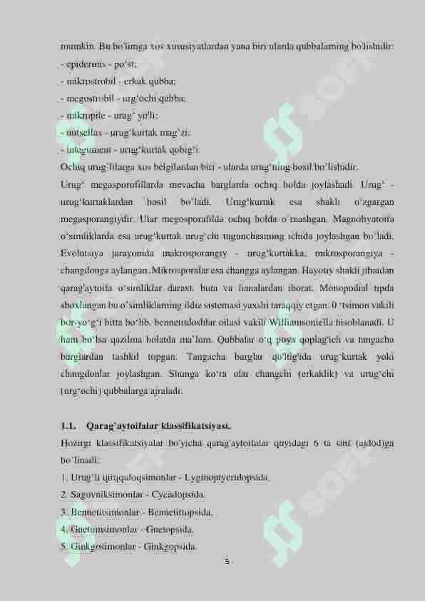 Preview 5