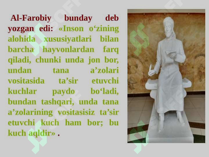 Preview 7