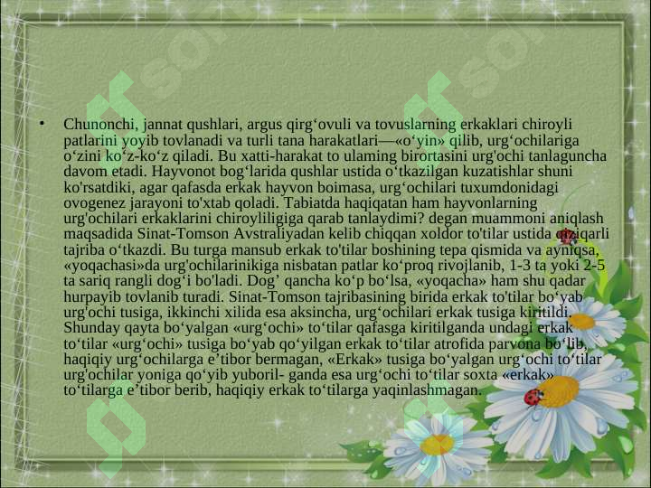Preview 8