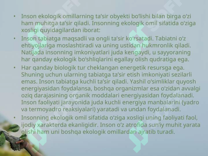 Preview 5