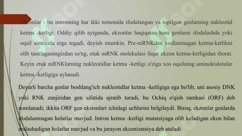Preview 5