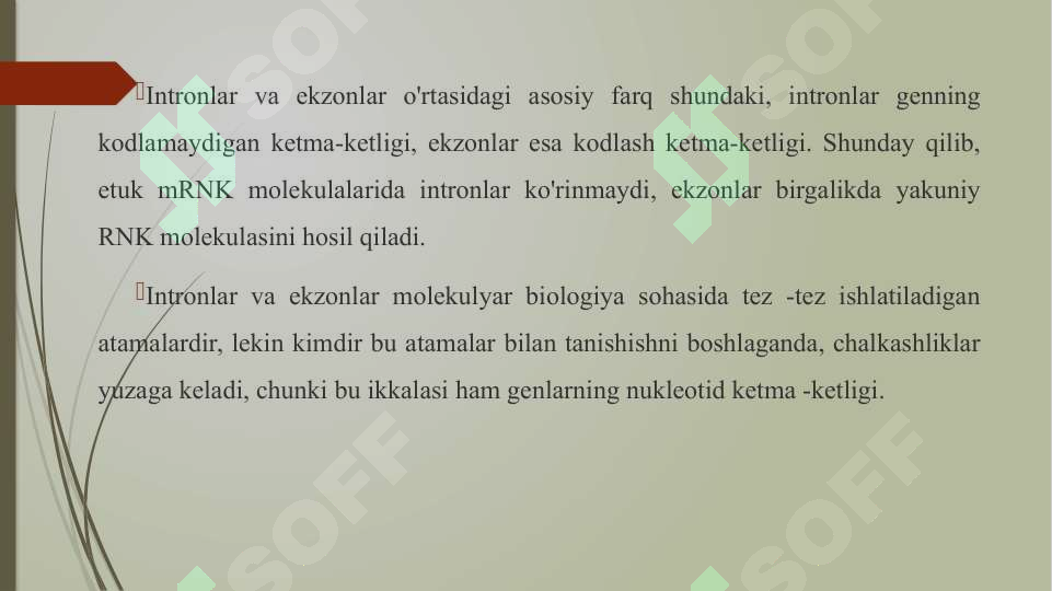 Preview 7