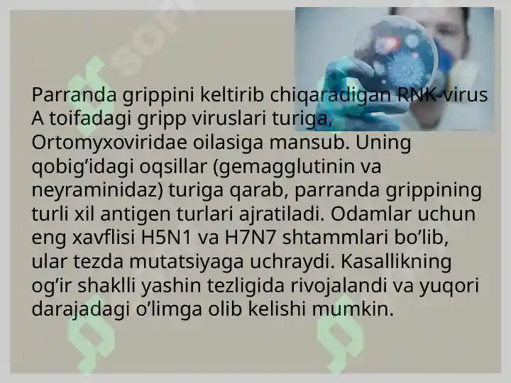 Preview 5