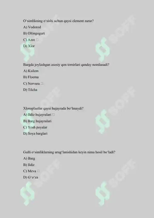 Preview 5