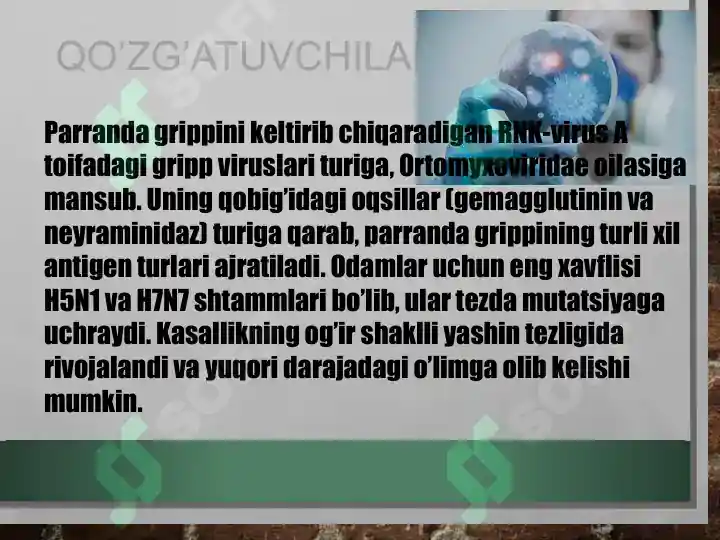 Preview 5