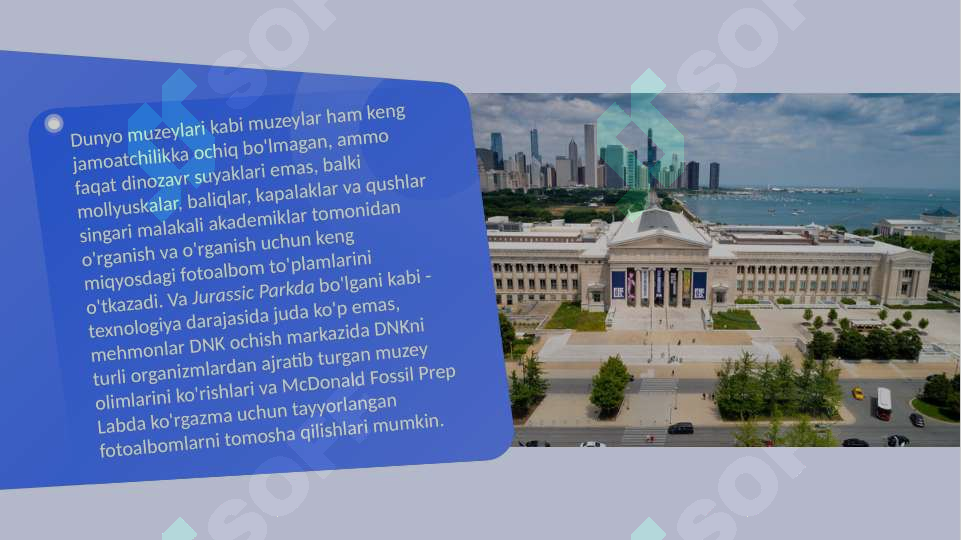 Preview 7