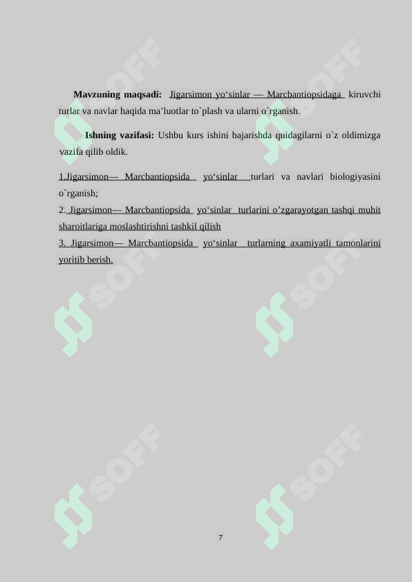 Preview 7