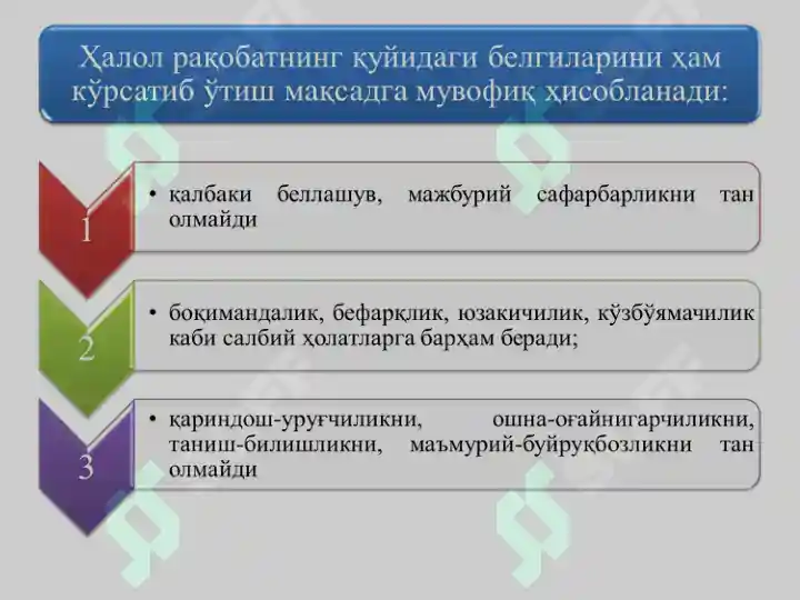 Preview 7