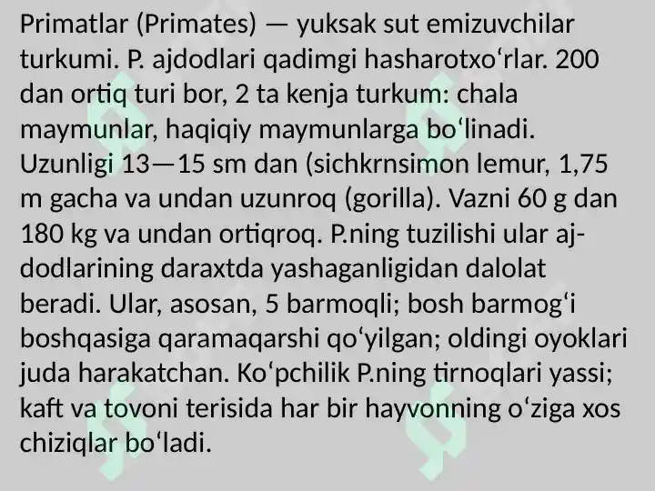 Preview 5