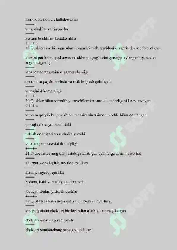 Preview 5
