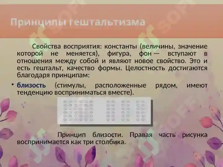 Preview 7