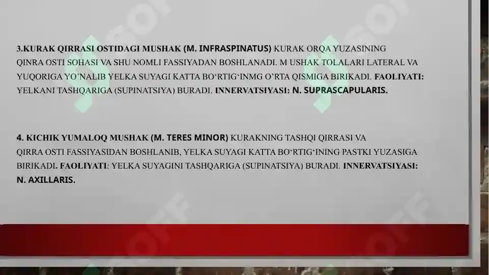 Preview 7
