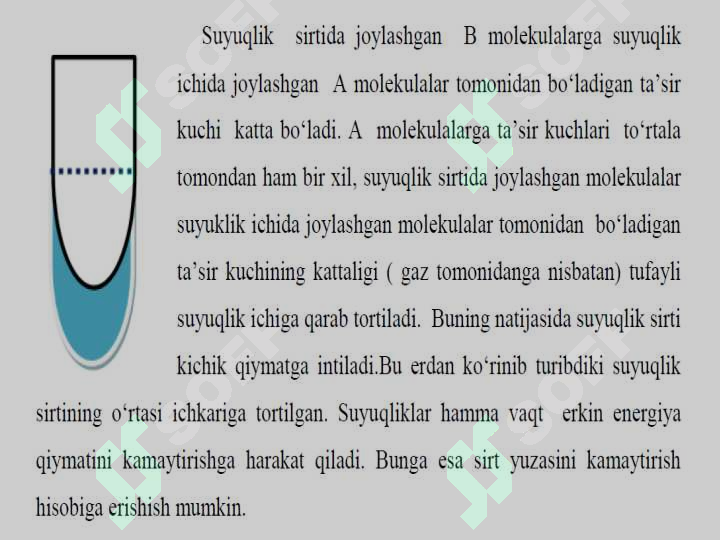 Preview 7