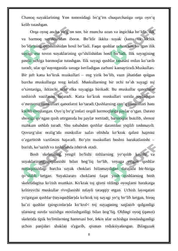 Preview 8
