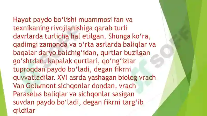 Preview 5