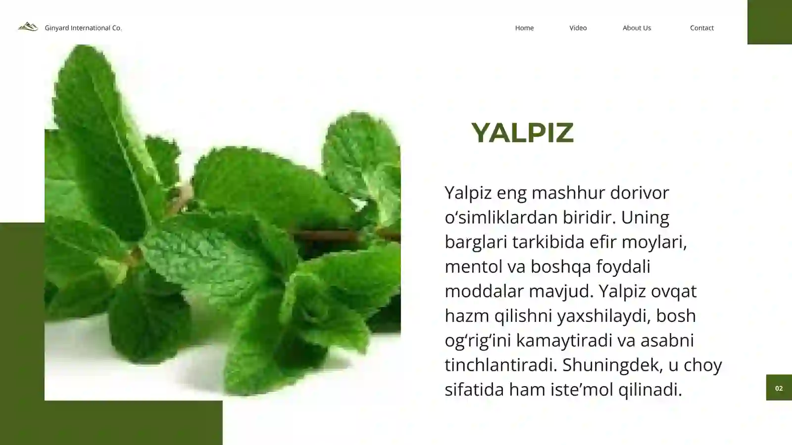 Preview 2