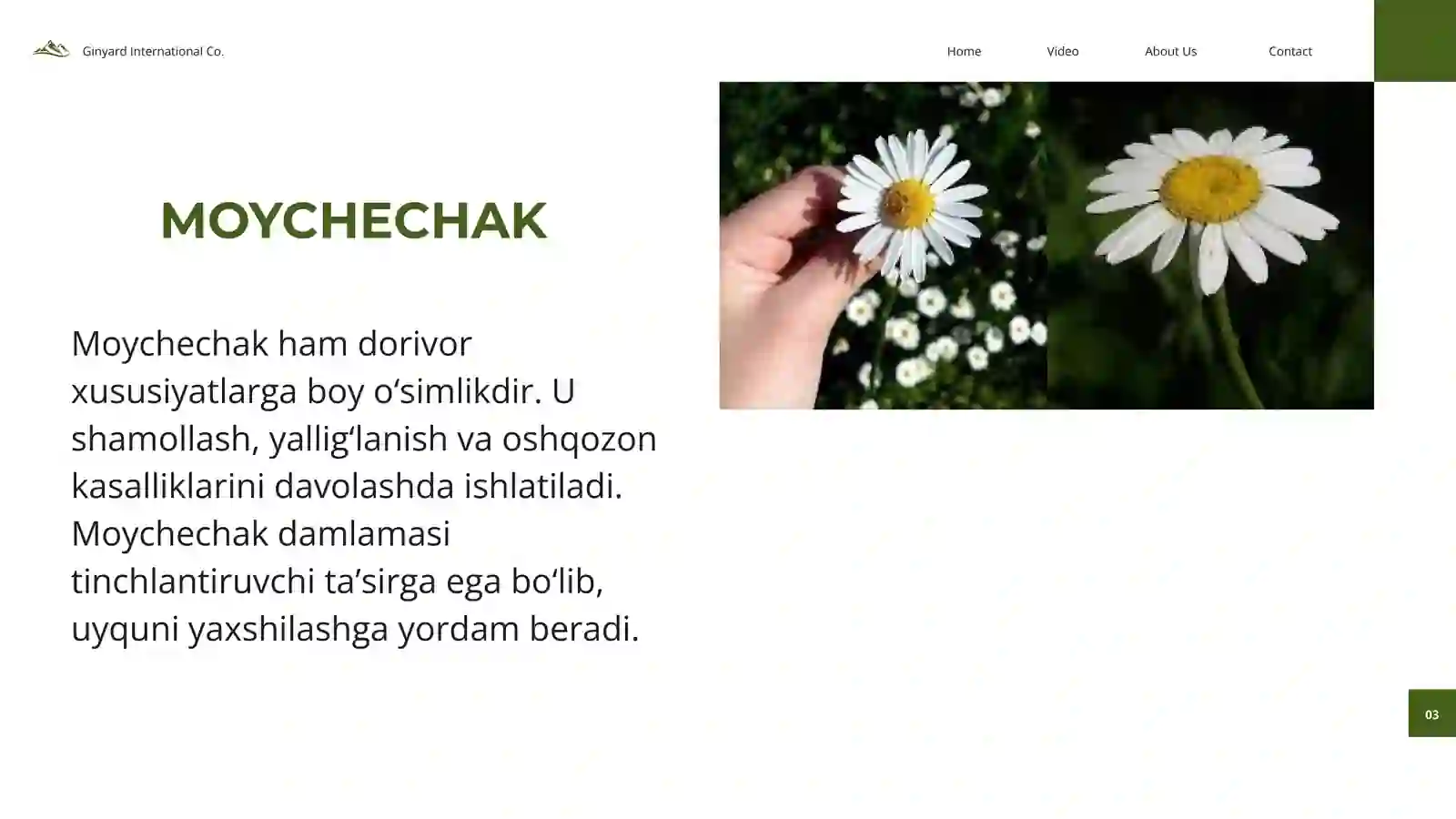 Preview 4