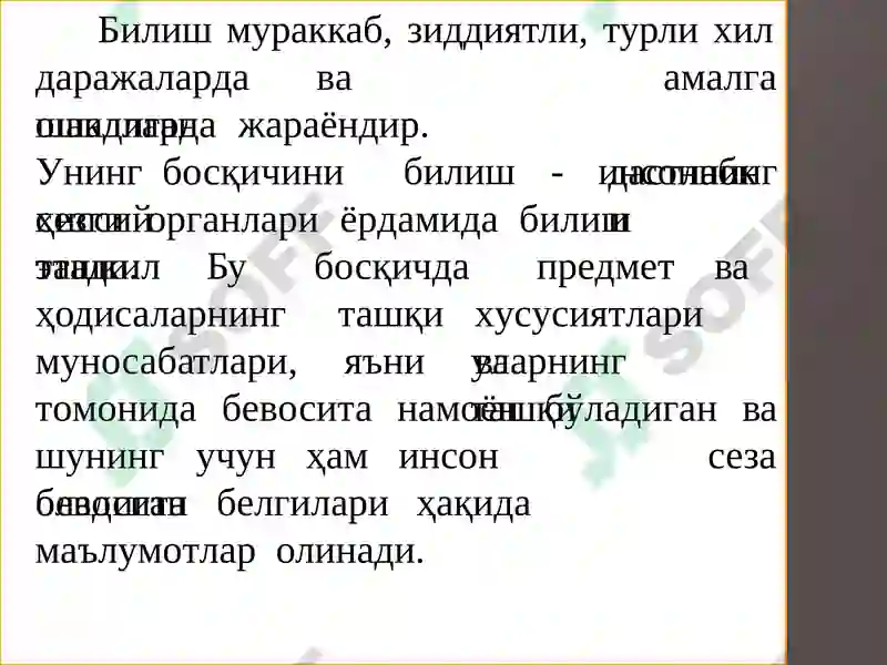 Preview 4