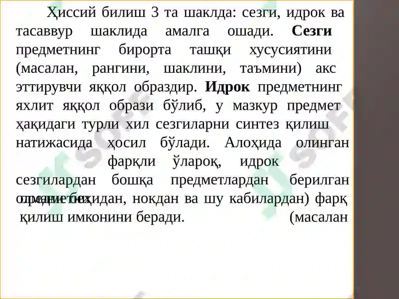 Preview 5