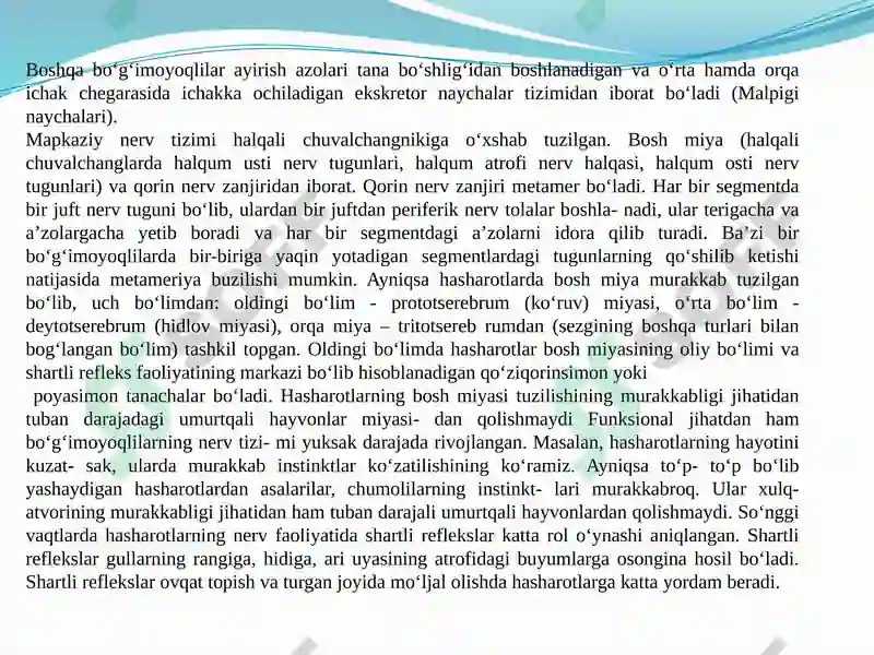 Preview 5