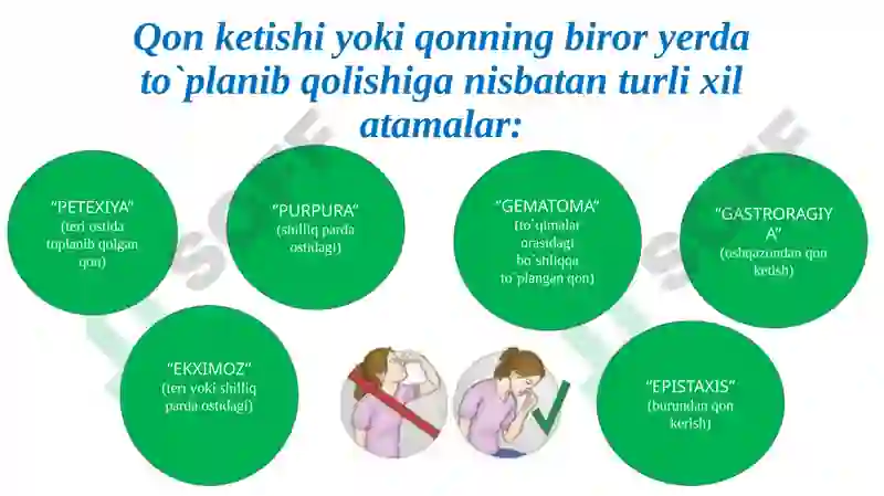 Preview 5