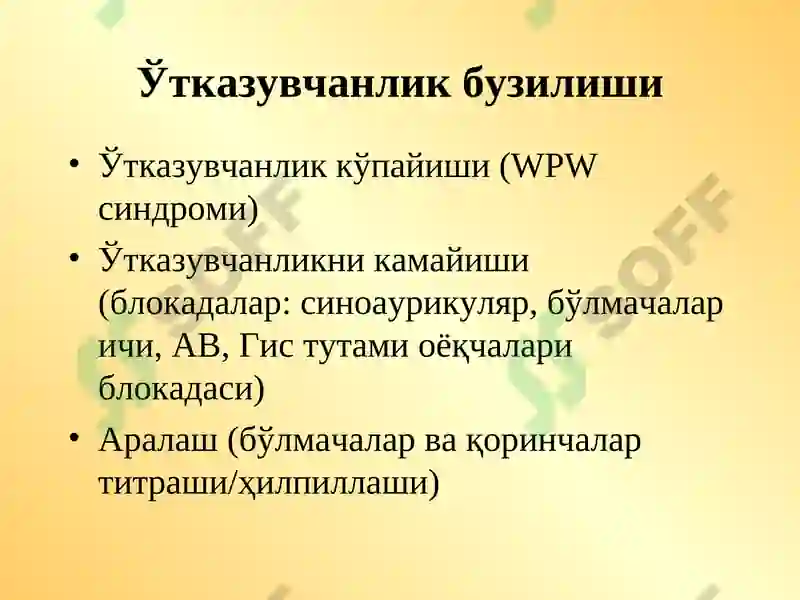 Preview 5