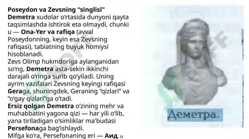 Preview 7
