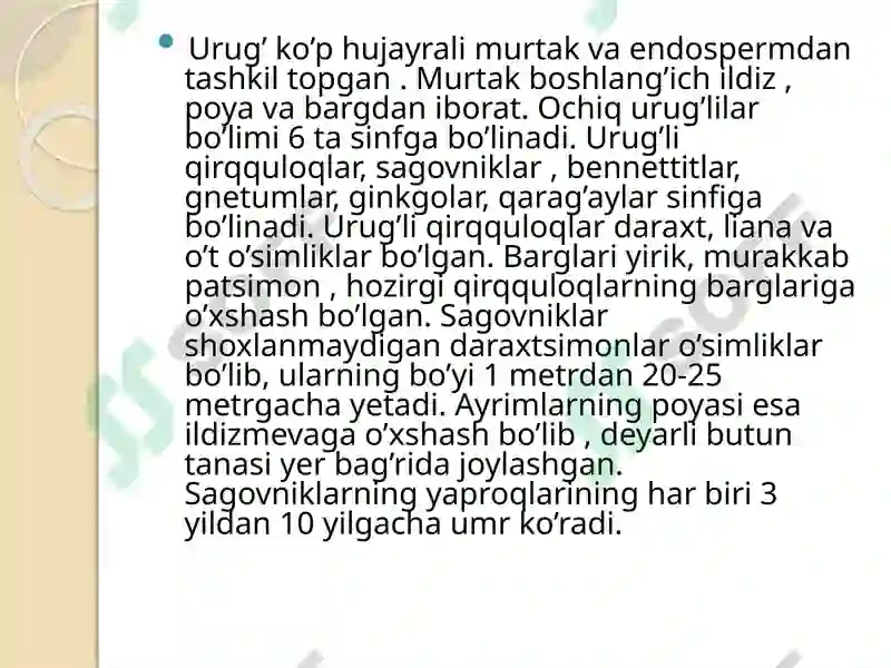 Preview 7