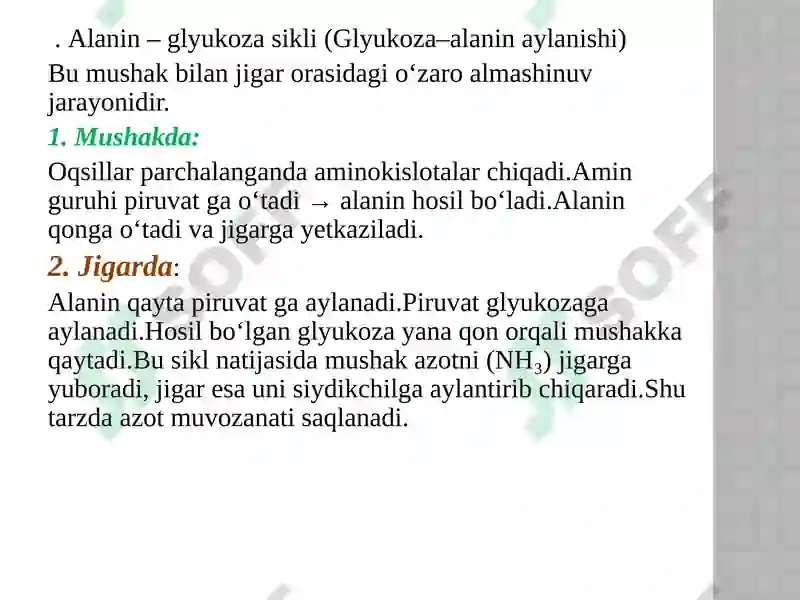 Preview 8