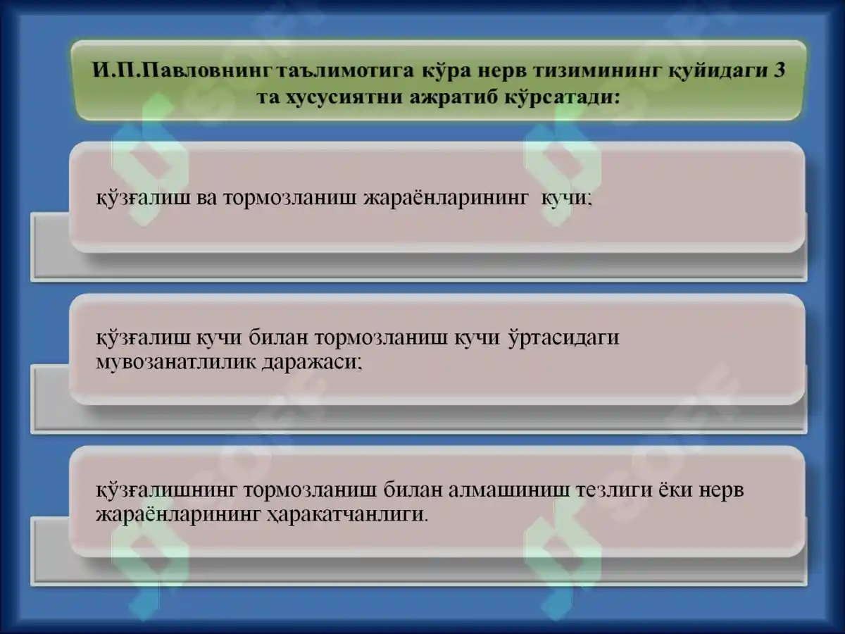 Preview 7