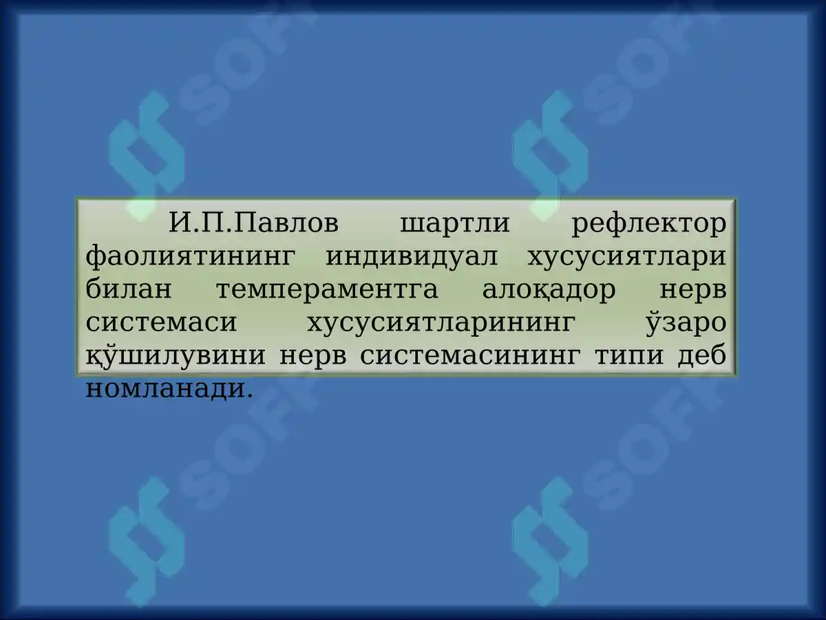 Preview 8