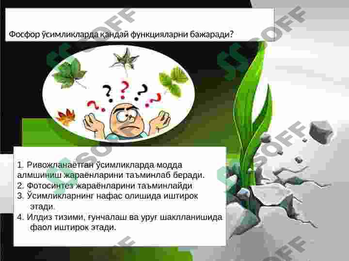 Product slide 5