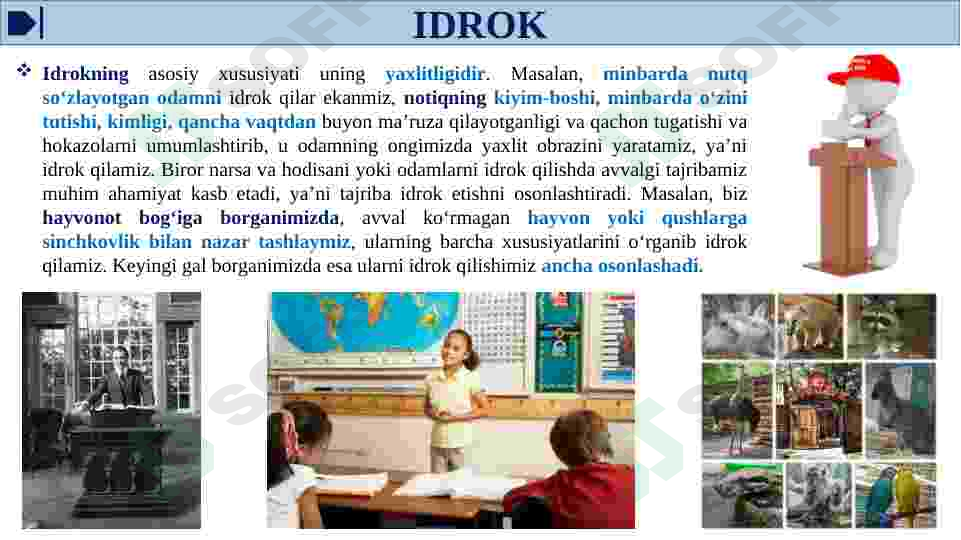 Product slide 6