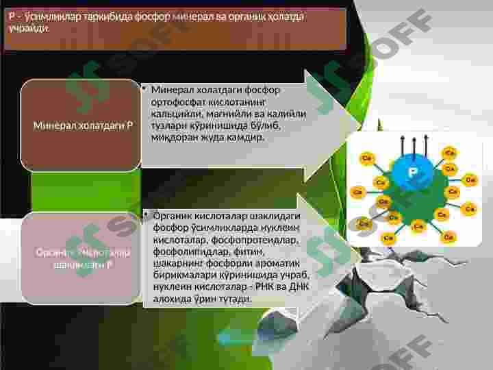 Product slide 6