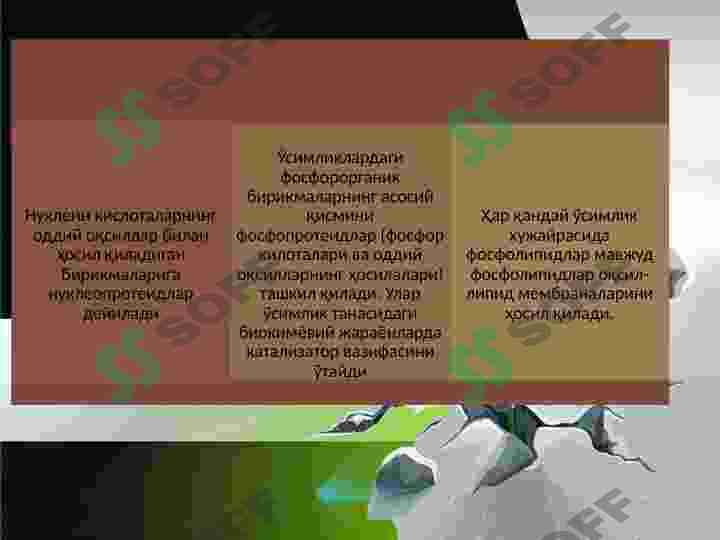 Product slide 7