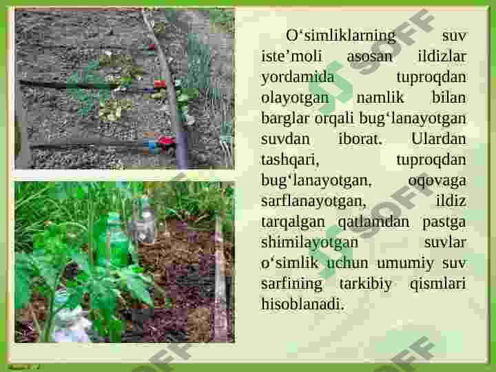 Product slide 7