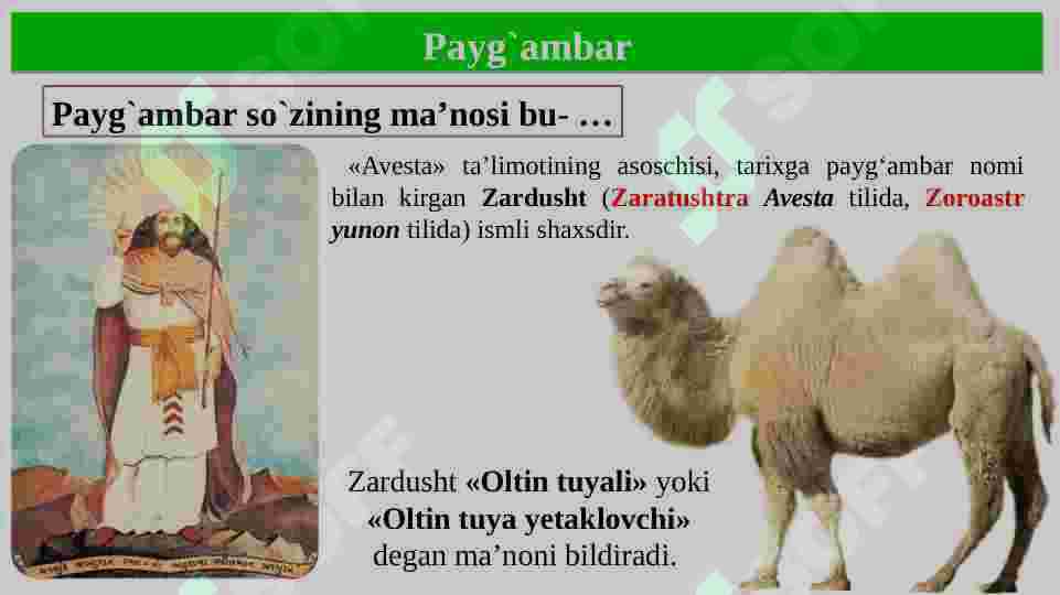 Product slide 7