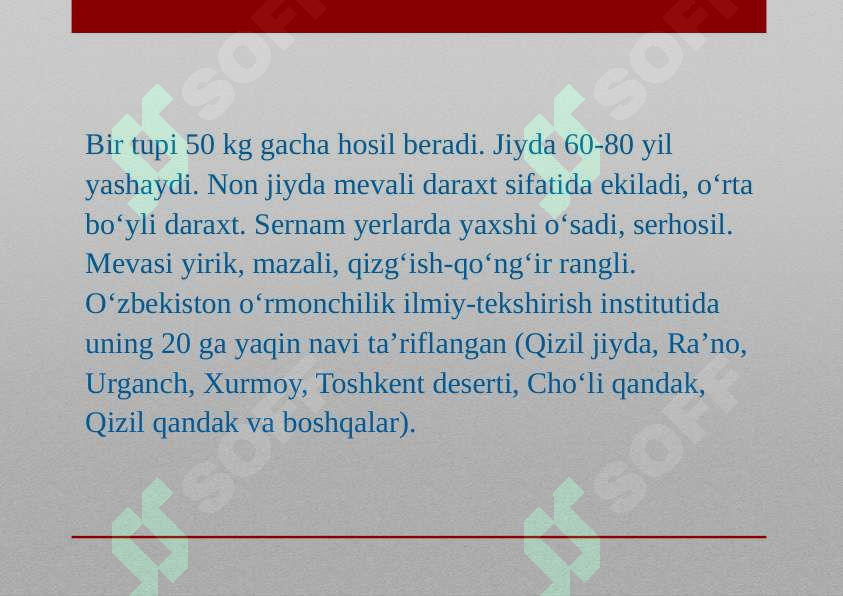 Product slide 7