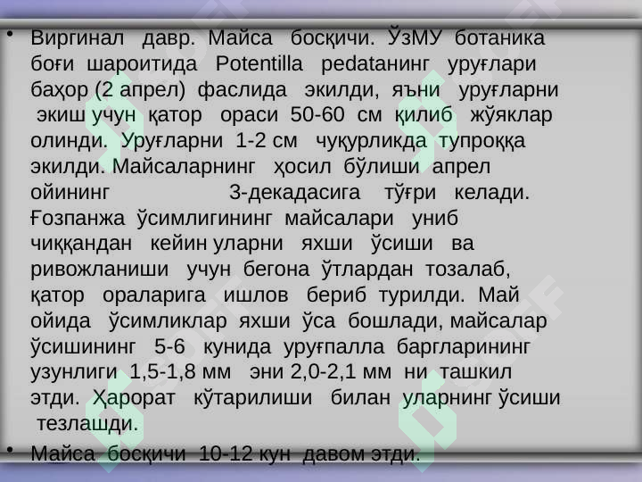 Product slide 7