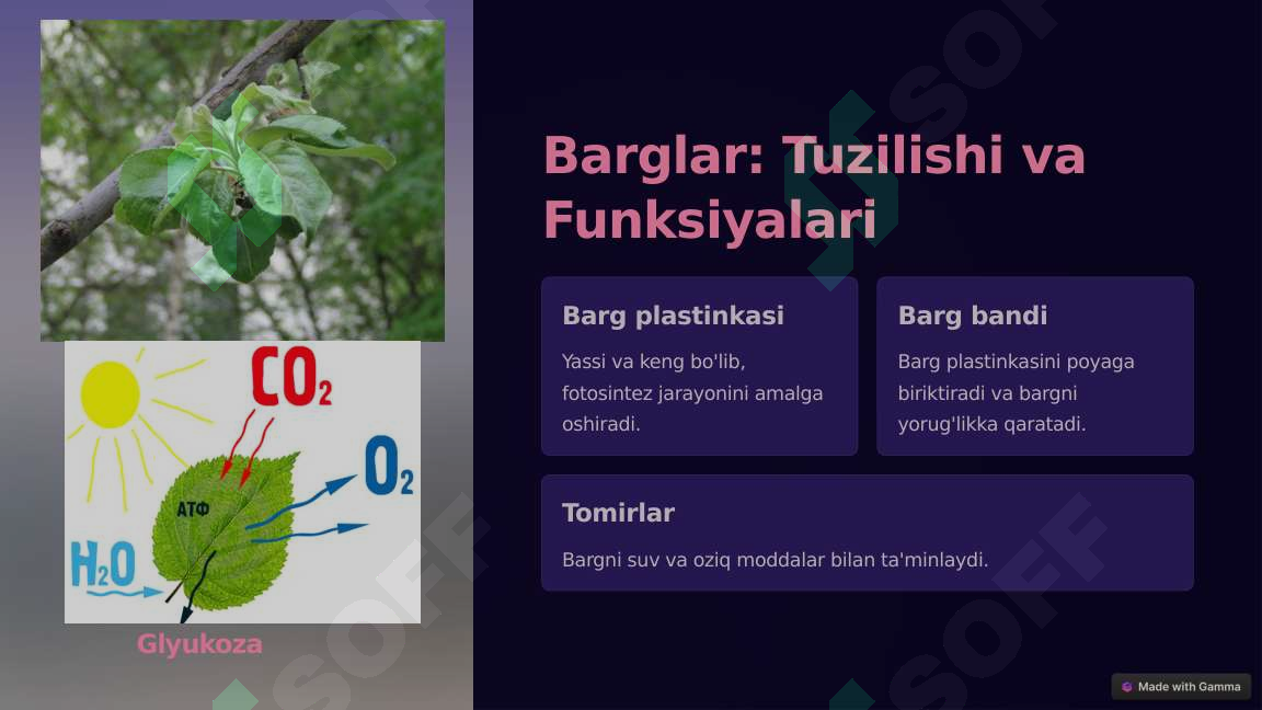 Product slide 6